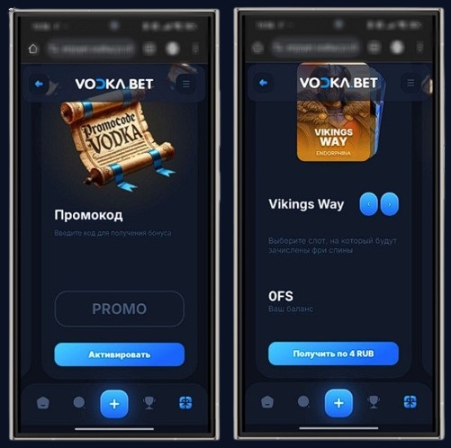 Бонусные программы в Vodka Casino